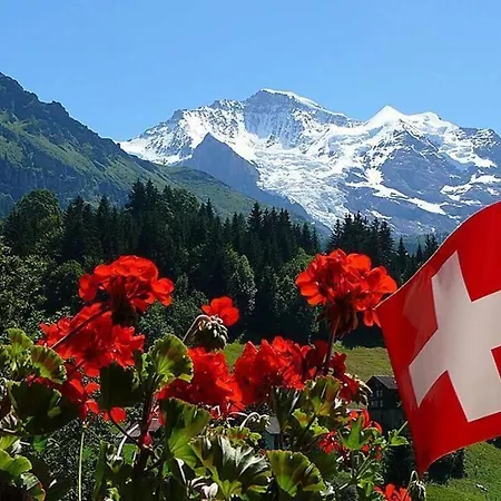 Appartement Acheregg By Interhome Wengen