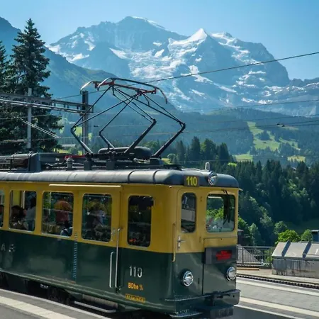 Appartement Acheregg By Interhome Wengen