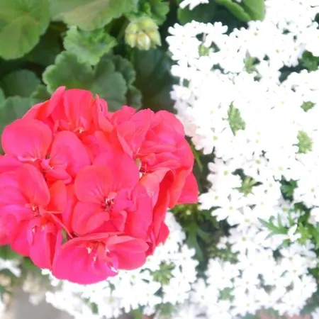 Acheregg By Interhome