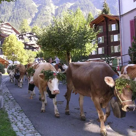 Acheregg By Interhome Wengen