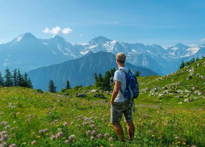 Apartamento Acheregg By Interhome *