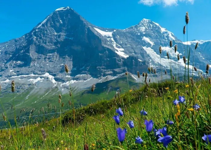 Acheregg By Interhome Apartamento