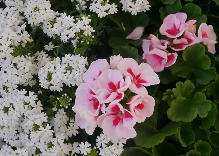 Apartamento Acheregg By Interhome *