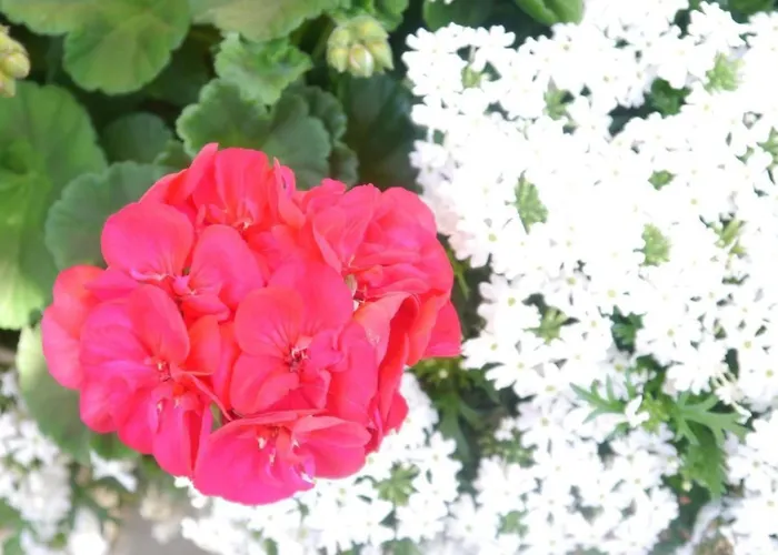 Acheregg By Interhome