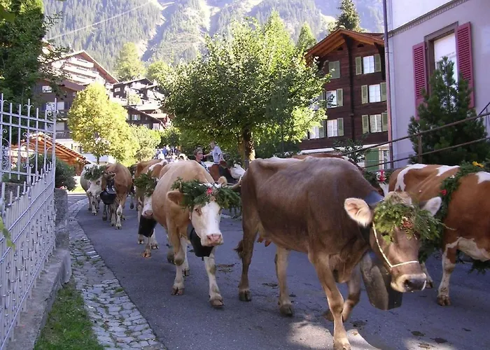 Acheregg By Interhome Wengen